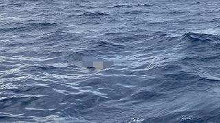 Antalya'nın Kaş ilçesinde denizde erkek cesedi bulundu