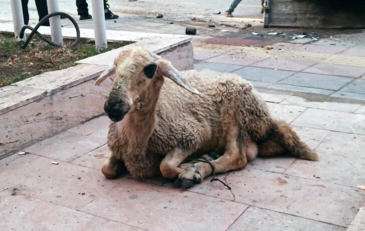 Çorum'da 2 otomobilin çarpıştığı kazada 3 kişi yaralandı G3