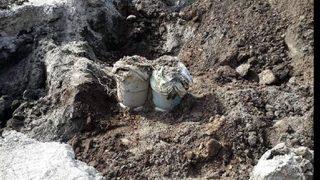 Şenkaya'da yola tuzaklanmış bomba imha edildi