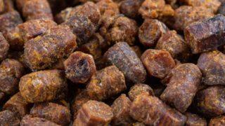 Kansere karşı koruma sağlıyor! İçeceğine katanlar kışın hastalık görmüyor