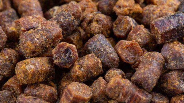 Kansere karşı koruma sağlıyor! İçeceğine katanlar kışın hastalık görmüyor