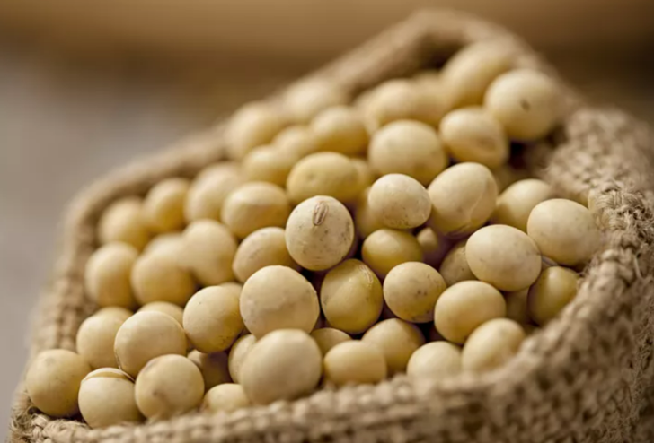 Ufacık bir parça bile dayanılmaz acılara yol açıyor! Baş ağrısını tetikleyen yiyecekler G5