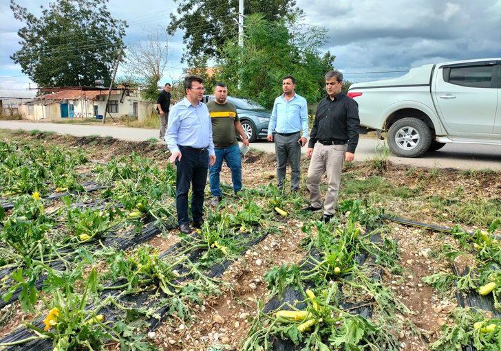 Antalya'da dolu ve fırtınadan etkilenen tarım alanlarında hasar tespiti yapılıyor G4
