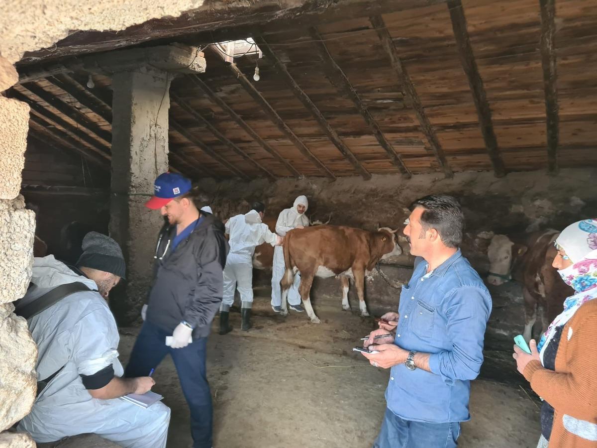 Erzurum'da Hayvan Hastanesi hizmet aracı il&ccedil;eleri gezmeye devam ediyor
