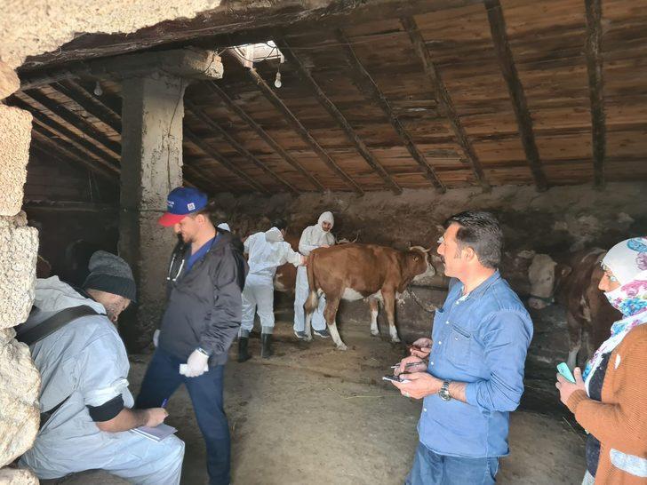 Erzurum'da Hayvan Hastanesi hizmet aracı ilçeleri gezmeye devam ediyor G1