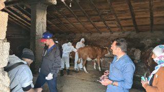 Erzurum'da Hayvan Hastanesi hizmet aracı ilçeleri gezmeye devam ediyor