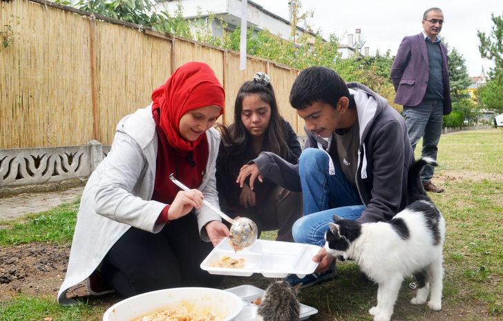 Özel eğitim öğrencileri artan yemeklerini sahipsiz kedilerle paylaşıyor G1