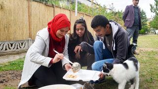 Özel eğitim öğrencileri artan yemeklerini sahipsiz kedilerle paylaşıyor