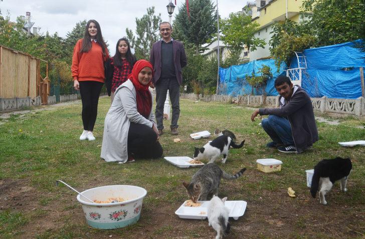 Özel eğitim öğrencileri artan yemeklerini sahipsiz kedilerle paylaşıyor G2