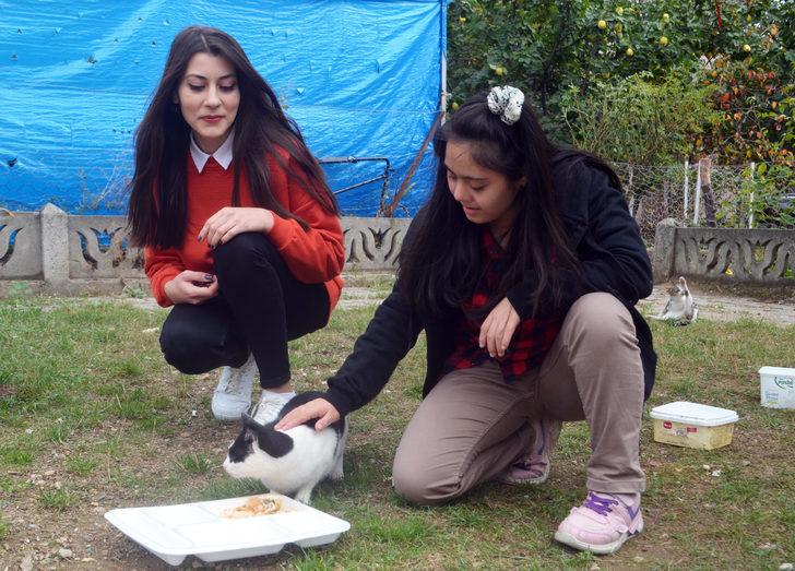 Özel eğitim öğrencileri artan yemeklerini sahipsiz kedilerle paylaşıyor G3