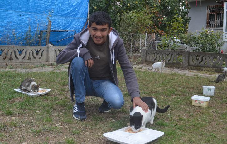 Özel eğitim öğrencileri artan yemeklerini sahipsiz kedilerle paylaşıyor G5