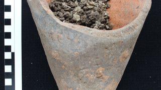 Assos kazısında bulunan bir amforada 1600 yıllık kılçık kalıntılarına ulaşıldı