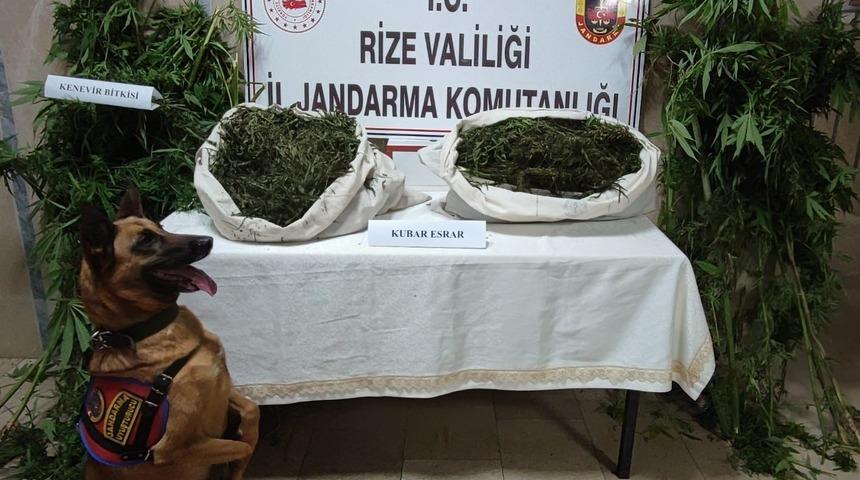 Rize'de 22 kilogram esrar ele geçirildi, 3 şüpheli yakalandı