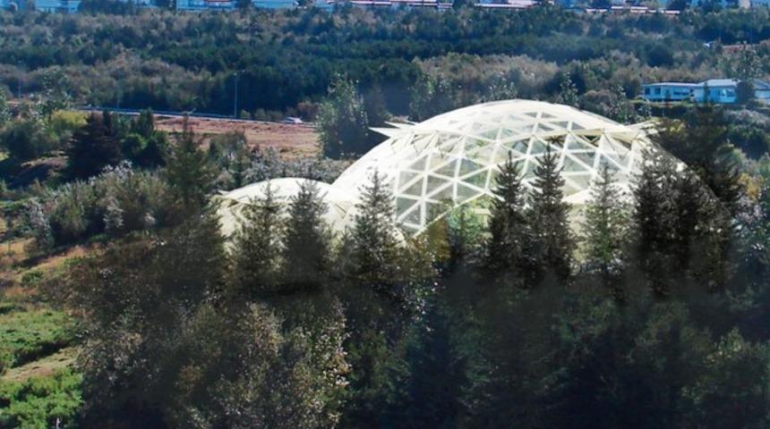 İzlanda biyolojik topluluklar kurmaya başlıyor