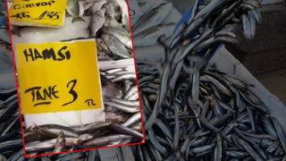 Hamsinin ‘tanesi 3 TL’ iddiası ortalığı karıştırdı! Fiyatlar cep yakıyor…