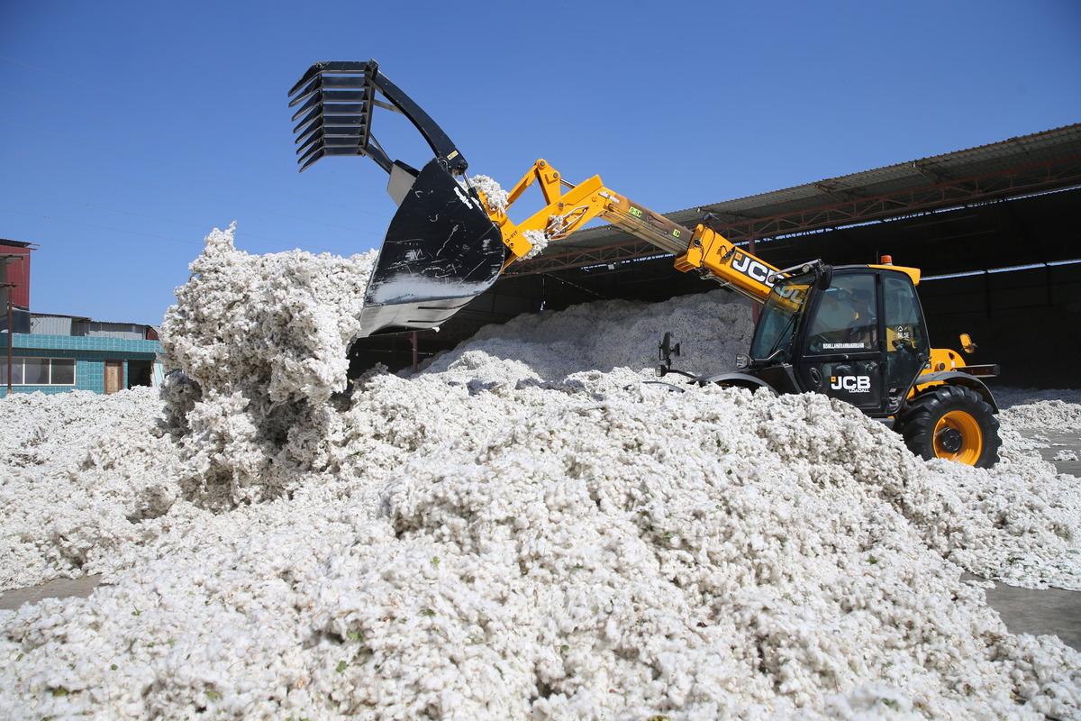 Pamukta 2 milyon 750 bin ton rekolte bekleniyor