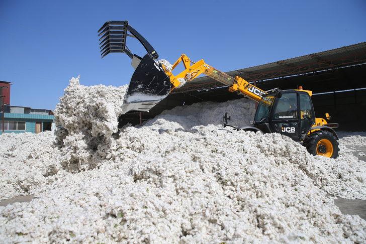 Pamukta 2 milyon 750 bin ton rekolte bekleniyor G1