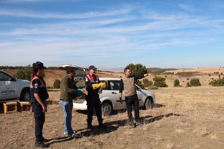 Kırıkkale'de yaralı kara akbaba tedavi altına alındı G4