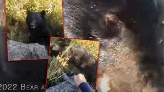 Feryat figan kendini savundu! Vahşi doğada yürekleri ağza getiren anlar: Dağcının ayıyla tekme tokat mücadelesi sosyal medyada gündem oldu