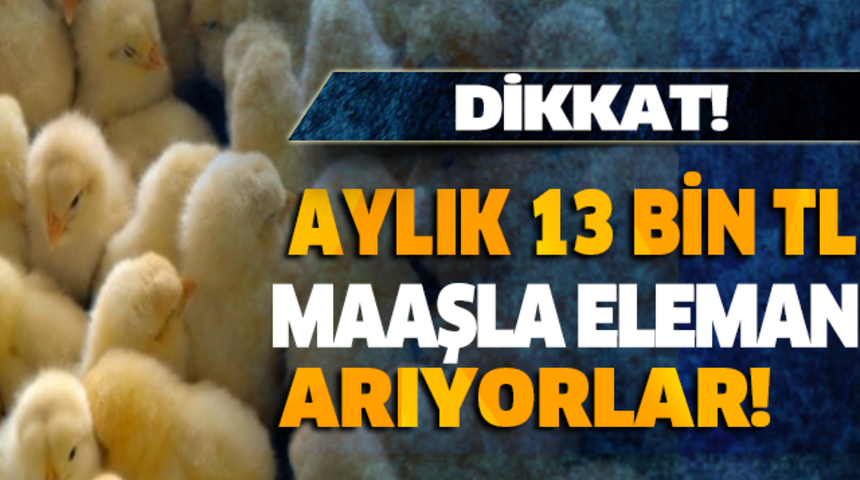 Aylık 13 Bin Tl Maaşla Eleman Aranıyor Başvurular Ne Zaman Nereye