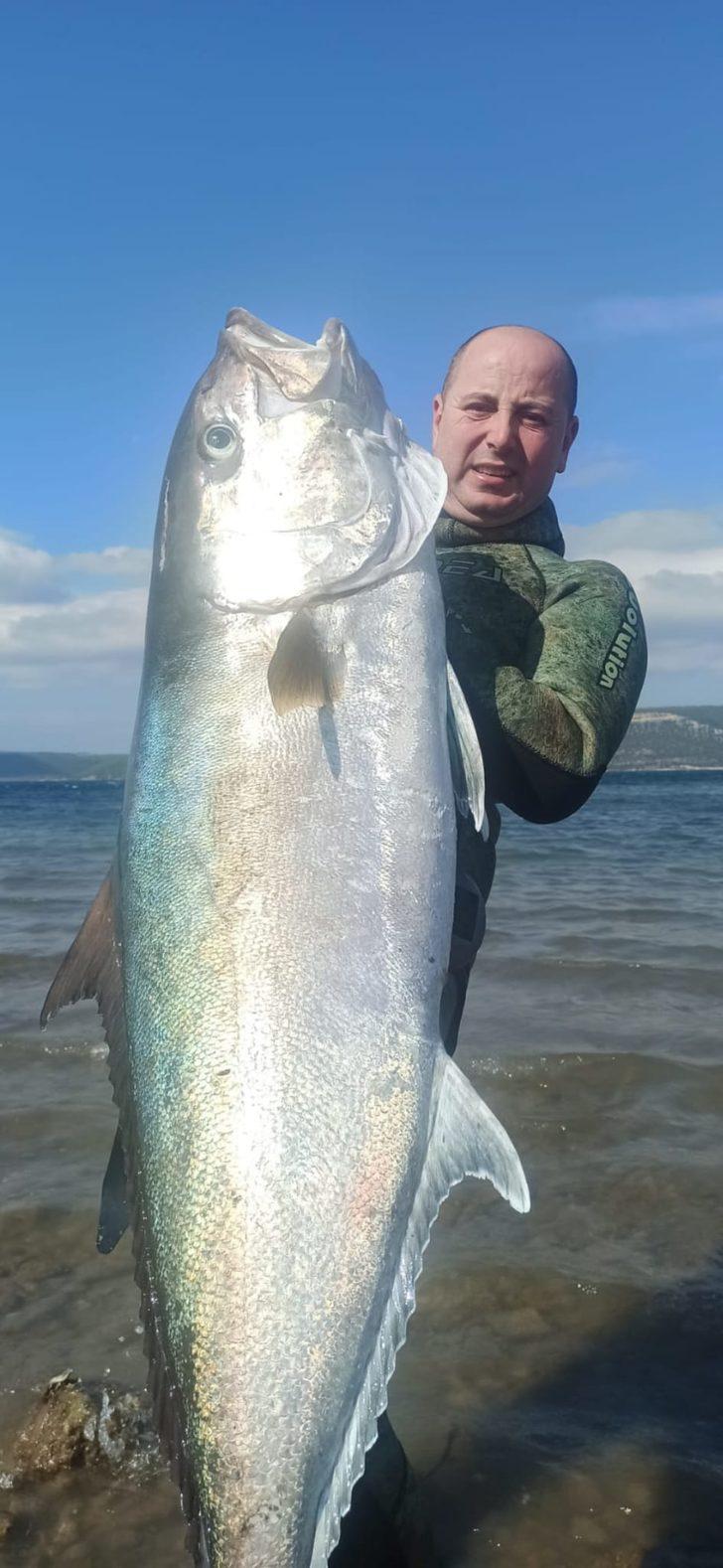 Çanakkaleli balık avcısı zıpkınla 50 kilogramlık dev akya yakaladı G3