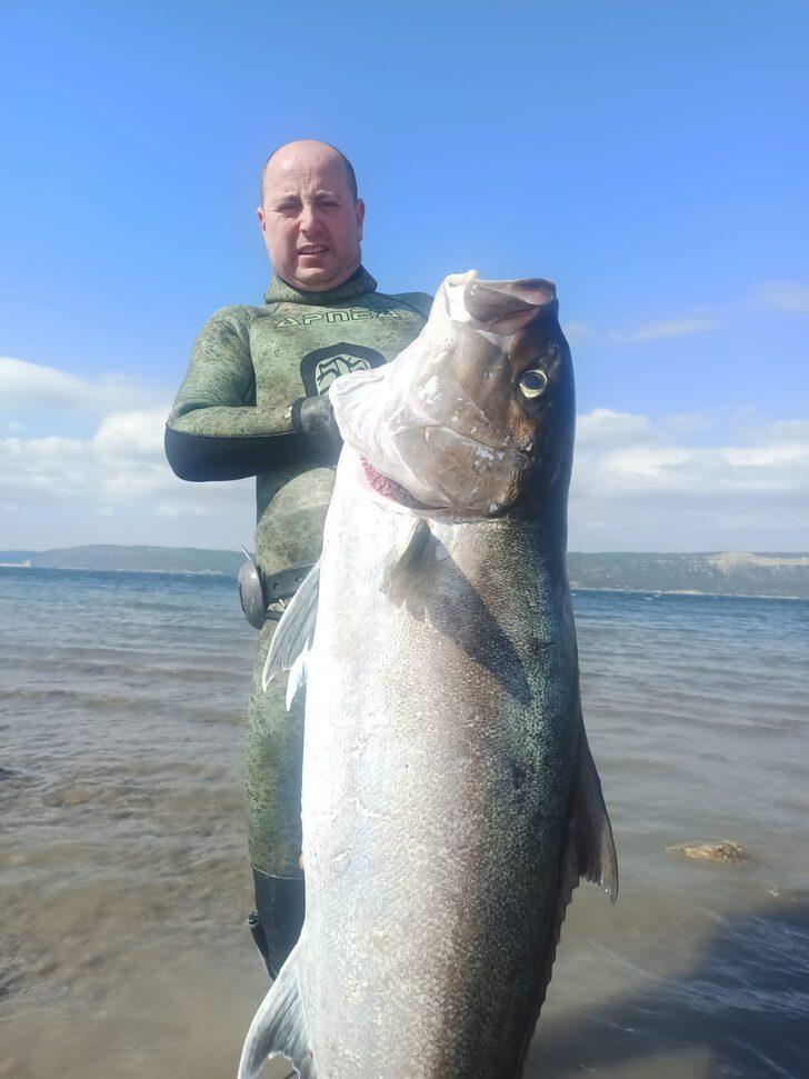 Çanakkaleli balık avcısı zıpkınla 50 kilogramlık dev akya yakaladı G4