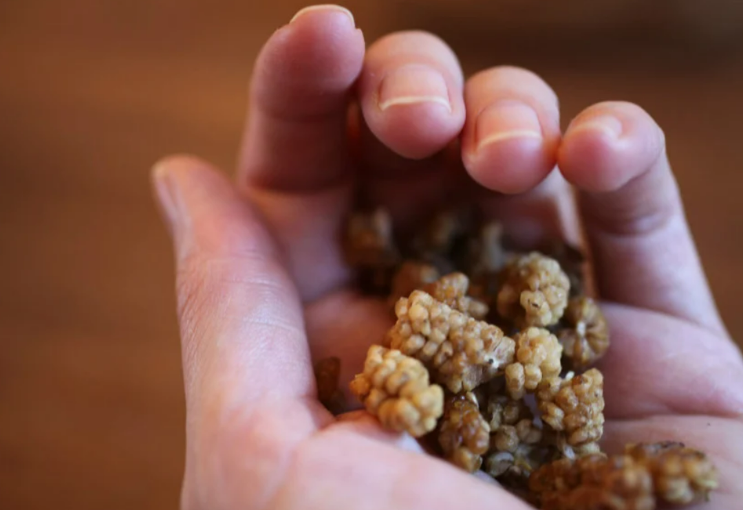 Her g&uuml;n bir avu&ccedil; yemek şifa dağıtıyor: İyi gelmediği hastalık yok! Kolesterol&uuml; d&uuml;ş&uuml;r&uuml;yor, kalp hastalıklarını &ouml;nl&uuml;yor