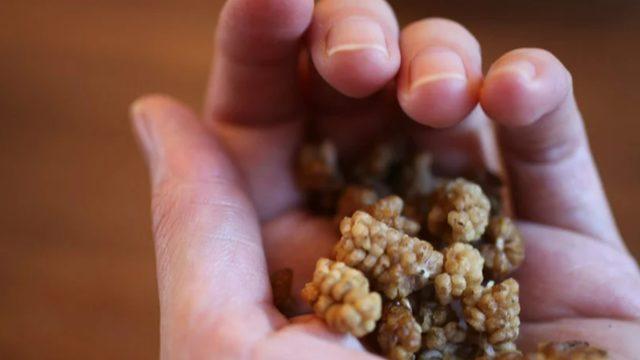 Her gün bir avuç yemek şifa dağıtıyor: İyi gelmediği hastalık yok! Kolesterolü düşürüyor, kalp hastalıklarını önlüyor