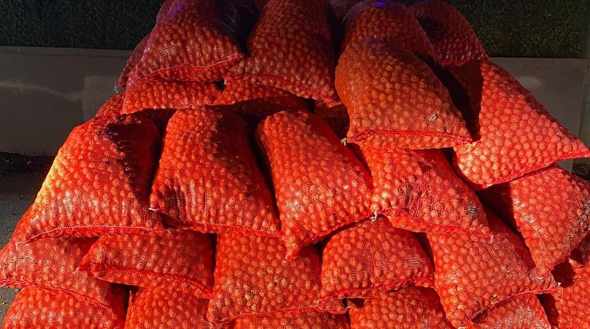 Bursa'da ceviz alma bahanesiyle dolandırıcılık yapan şüpheli gözaltına alındı