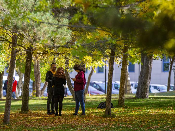 Erzurum'da park ve bahçelerde güz renkleri hakim oldu G1