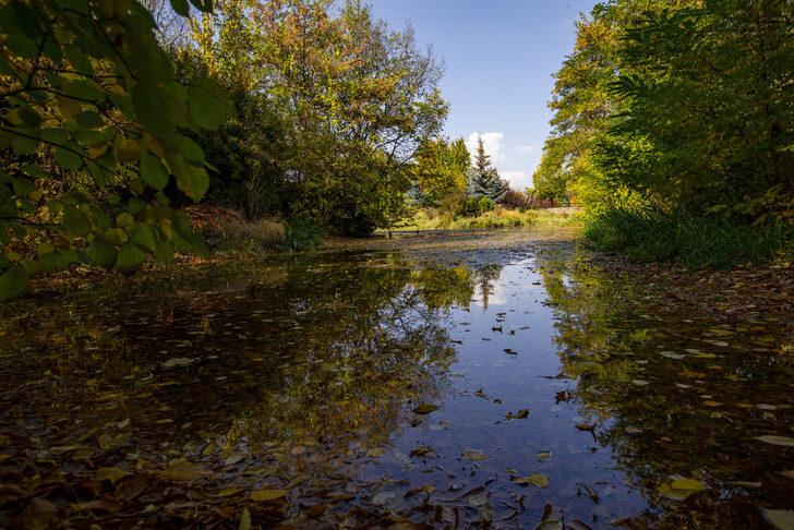 Erzurum'da park ve bahçelerde güz renkleri hakim oldu G2