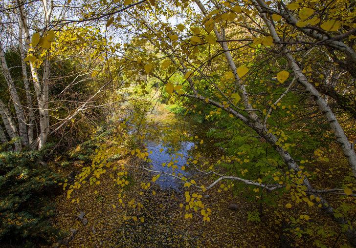 Erzurum'da park ve bahçelerde güz renkleri hakim oldu G3