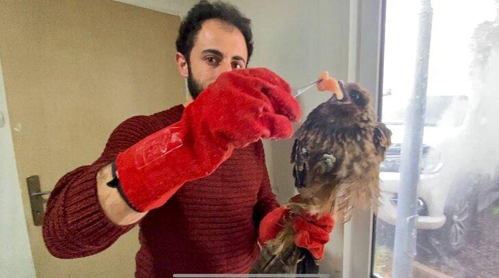 Erzurum'daki yaralı ve bitkin halde bulunan 6 yabani kuş tedaviye alındı G2