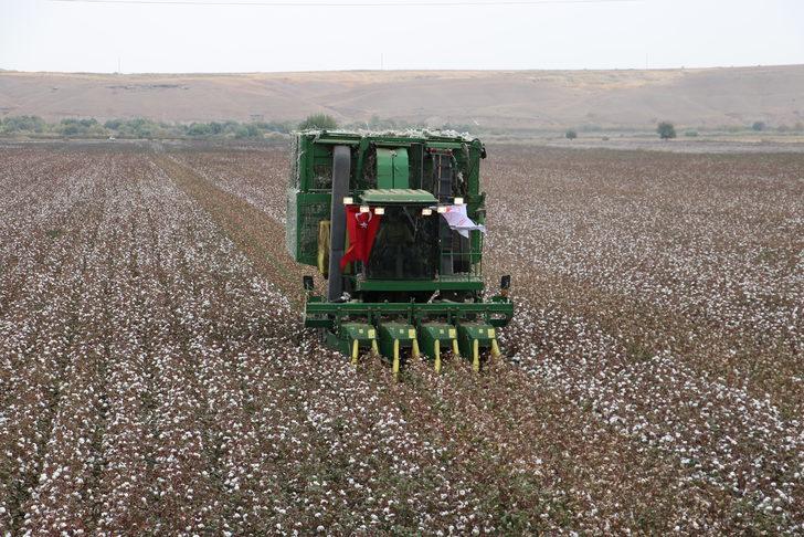 Diyarbakır'da üretilen pamukta 438 bin ton rekolte bekleniyor G1