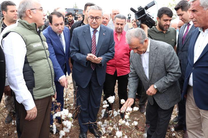 Diyarbakır'da üretilen pamukta 438 bin ton rekolte bekleniyor G2