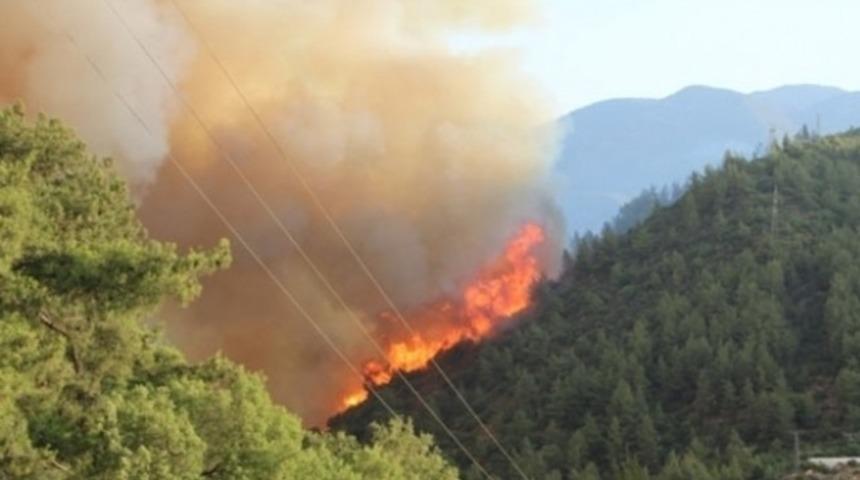 İstanbul'da orman yangını