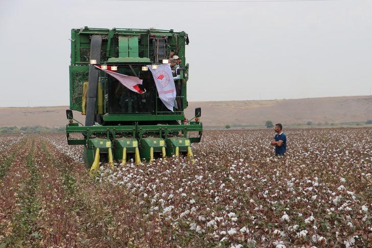 Diyarbakır'da üretilen pamukta 438 bin ton rekolte bekleniyor G3