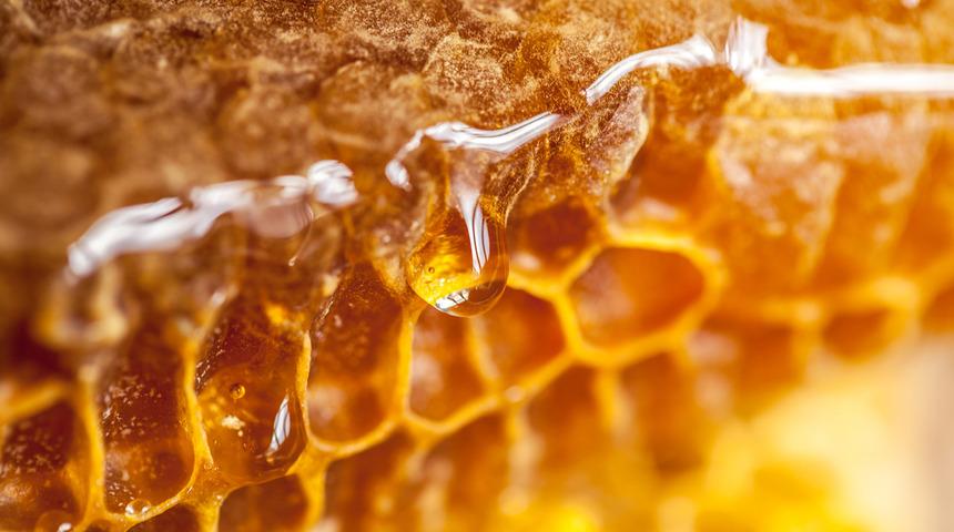 Yemek için sıraya giriyorlar: Ölüme götürüyor