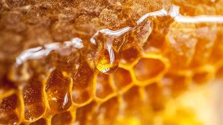 Yemek için sıraya giriyorlar: Ölüme götürüyor