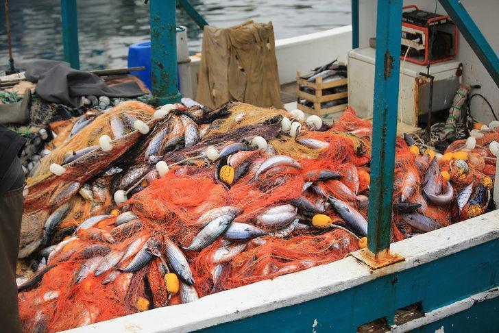 Kıyıköylü balıkçının ağlarına 3 bin 500 adet palamut takıldı G1