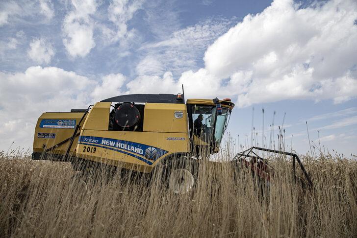 Erzurum'da denemesi yapılan "danelik mısır" çiftçilerin yeni gelir kapısı olacak G2