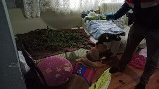 Trabzon'da uyuşturucu operasyonunda 1 şüpheli yakalandı