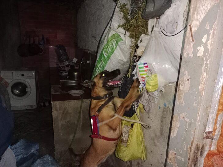 Trabzon'da uyuşturucu operasyonunda 1 şüpheli yakalandı G2