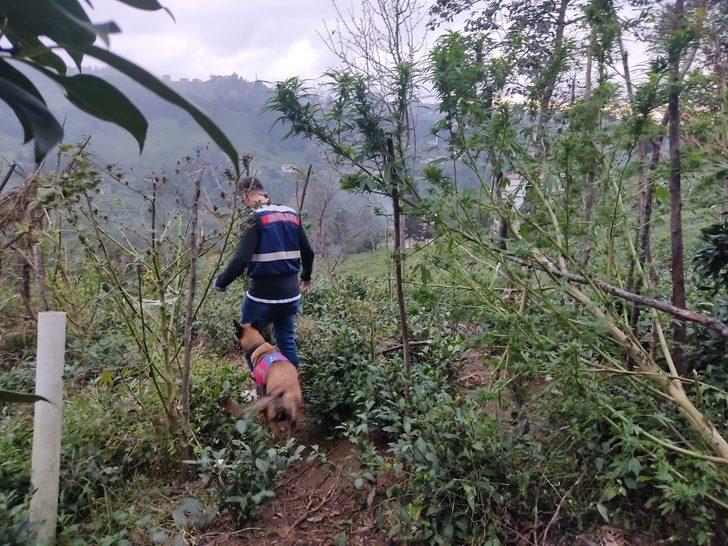 Trabzon'da uyuşturucu operasyonunda 1 şüpheli yakalandı G3