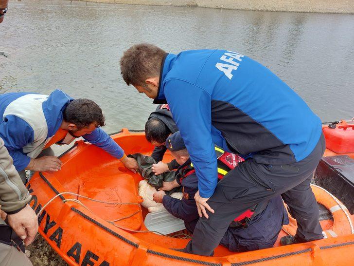 Konya'da sulama göletine düşen pelikan, AFAD ekiplerince kurtarıldı G2