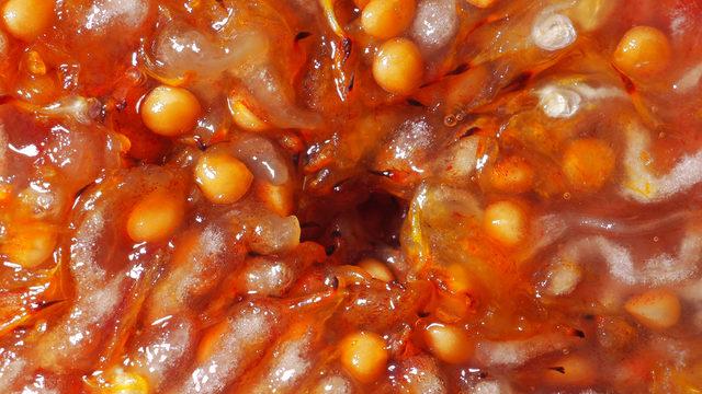 Bir lokması her derde deva: Taze incirin sağladığı inanılmaz faydalar! Günde bir tane incir yerseniz...