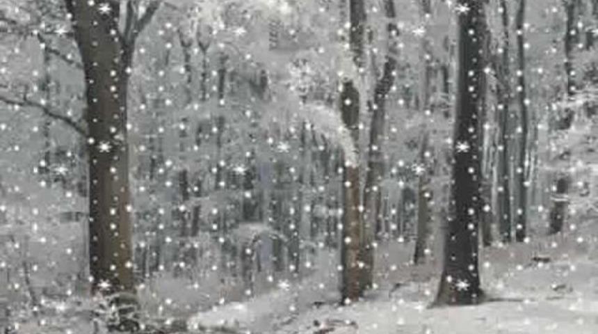 Meteoroloji Uyardı Şiddetli Kar Geliyor Hangi İllerde Etkili Olacak?