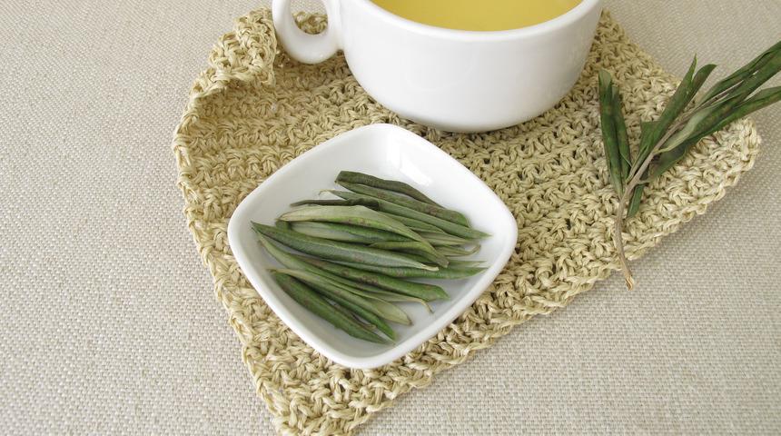 Zeytin yaprağı çayı faydaları nelerdir, neye iyi gelir? Zeytin yaprağı çayı nasıl yapılır ve demlenir?