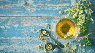 Papatya çayı faydaları nelerdir, neye iyi gelir? Papatya çayı nasıl yapılır ve demlenir?