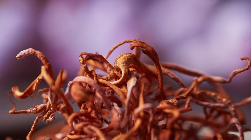 İmkansızı başardılar: Kanseri tedavi ediyor